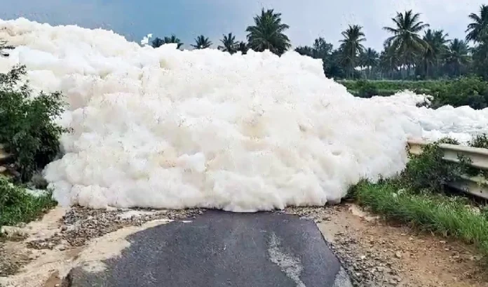 Water Crisis: Toxic foam is blocking the dam, farmers and local people are facing water crisis in Krishnagiri.
