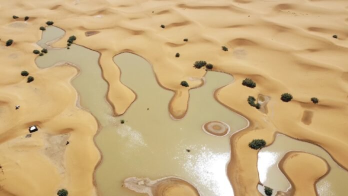 Would you believe it, there was a sudden flood in the Sahara desert; see the pictures yourself
