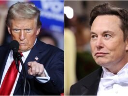 Elon Musk got the reward of Trump's victory, it rained money, you will be shocked to know the earning in 1 day
