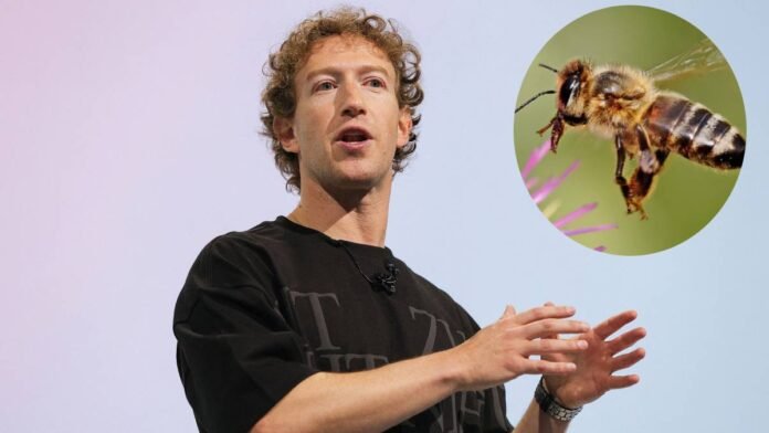 How did bees stop Mark Zuckerberg's AI dream project? Meta CEO explained the reason
