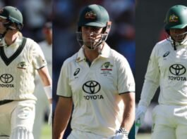 IND vs AUS: Australian team embarrassed at its own home, India did such a miracle after 8 years
