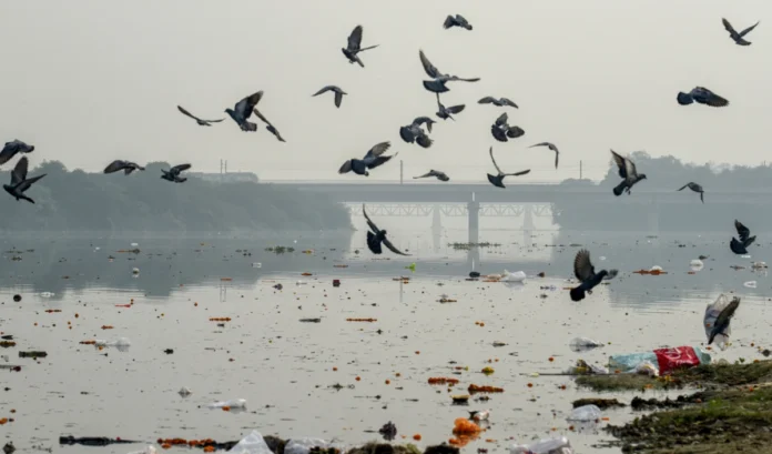 There is a ban on performing Chhath Puja in Yamuna river in Delhi, Delhi High Court also refused to remove it.
