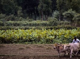 Farmer's Day: How much has the income of the farmers of the country increased, how much has the situation changed for the farmers.
