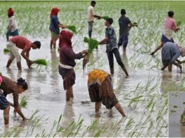 Good news for crores of farmers, got a New Year gift, will be able to take a loan of Rs 2 lakh without any mortgage.
