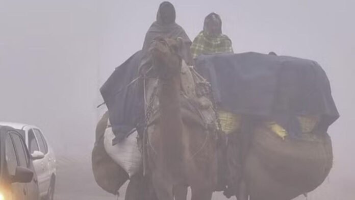 Rajasthan Weather: Many areas of Rajasthan are in the grip of severe cold; forecast of rain and hailstorm
