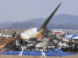 South Korea Plane Crash: 'Is there no hope for anyone's survival?' Last message to the family before death knocks
