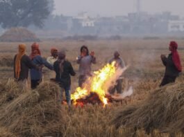 Today's weather 12 December 2024: Cold wave will continue for 5 days in North India, heavy rain alert in 4 states of South India
