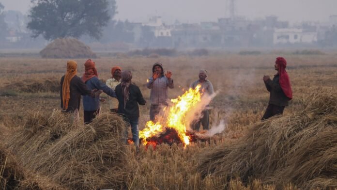 Today's weather 12 December 2024: Cold wave will continue for 5 days in North India, heavy rain alert in 4 states of South India
