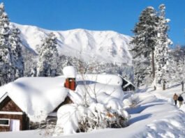 Uttarakhand Snowfall: Snowfall, cold increased in high altitude areas of Uttarakhand
