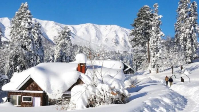 Uttarakhand Snowfall: Snowfall, cold increased in high altitude areas of Uttarakhand
